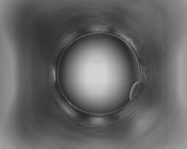 X0000112790061200908211122