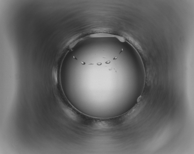 X0000112790062200908211122