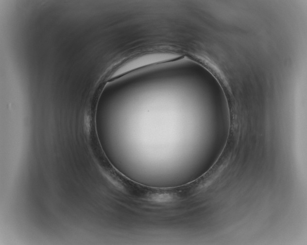 X0000112790063200908211122