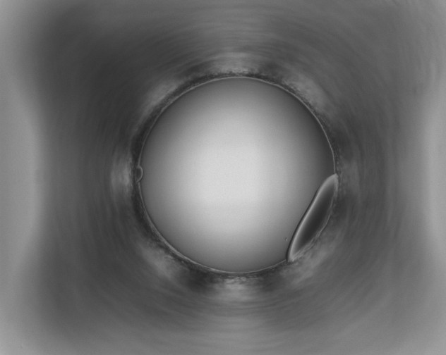 X0000112790064200908211122