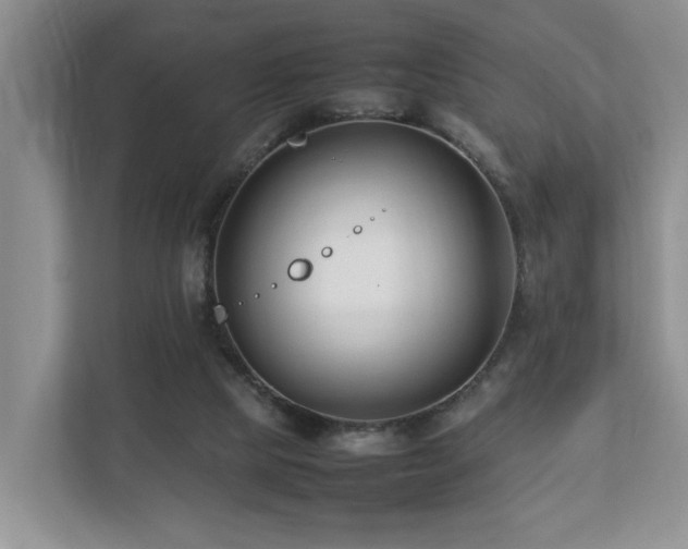 X0000112790065200908211122