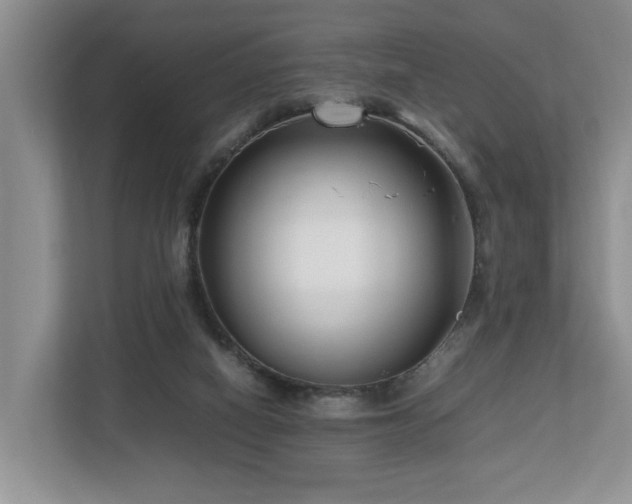 X0000112790066200908211122