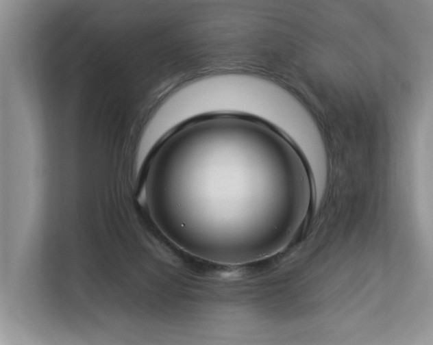 X0000112790068200908211122