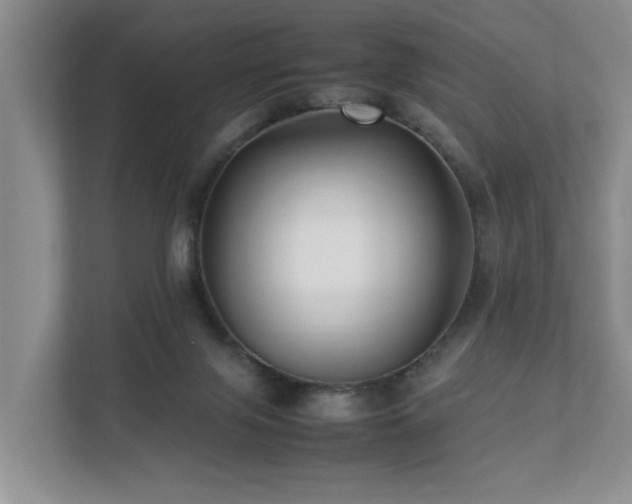 X0000112790071200908211122