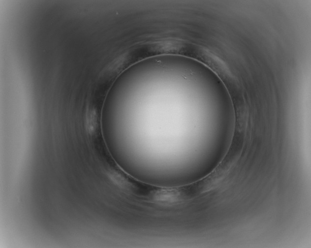 X0000112790077200908211122