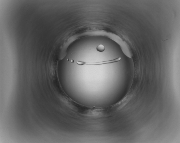 X0000112790078200908211122