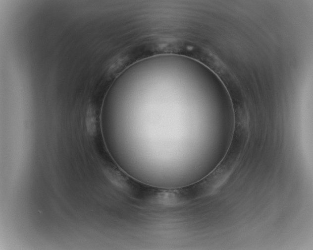 X0000112790080200908211122