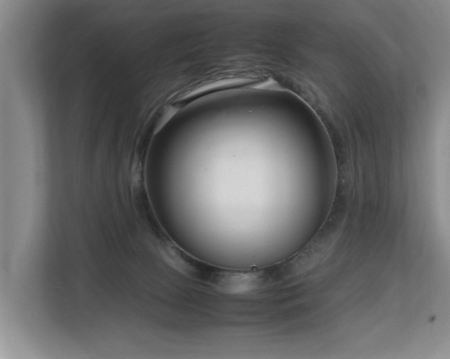 X0000112790081200908211122