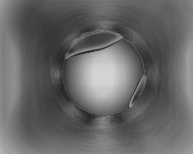 X0000112790084200908211122