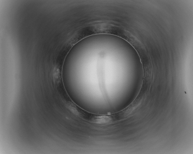 X0000112790087200908211122