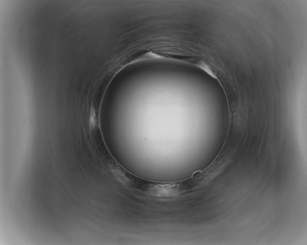 X0000112790089200908211122