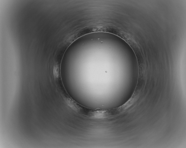 X0000112790090200908211122