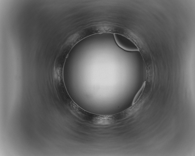 X0000112790093200908211122