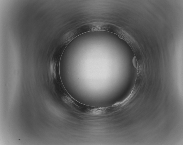 X0000112790094200908211122