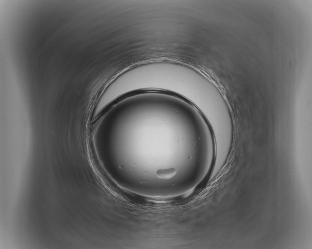 X0000112790097200908211121