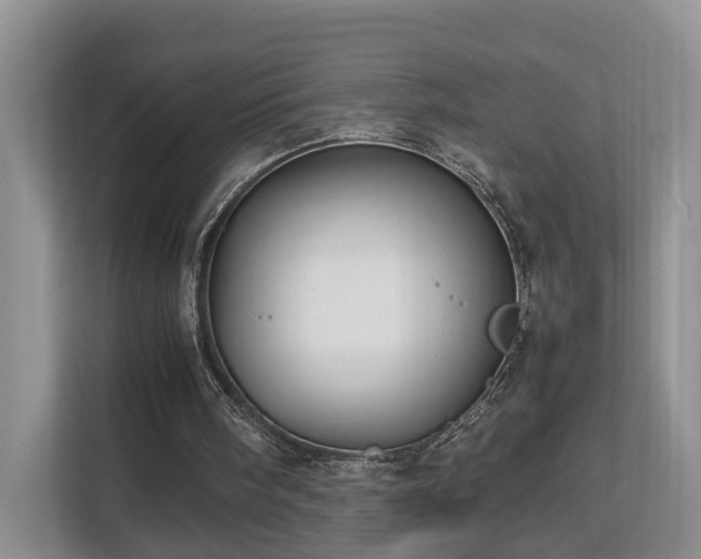 X0000112790098200908211121