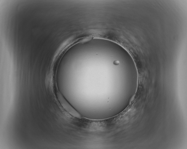 X0000112790101200908211121