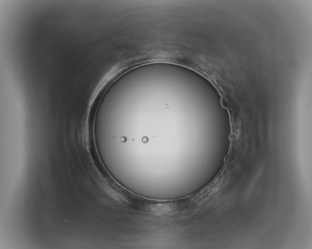 X0000112790102200908211121