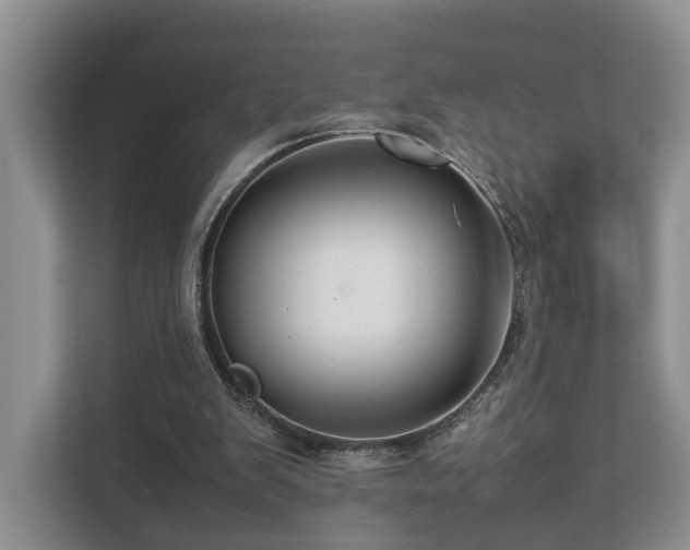 X0000112790103200908211121