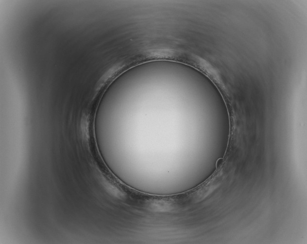 X0000112790106200908211121