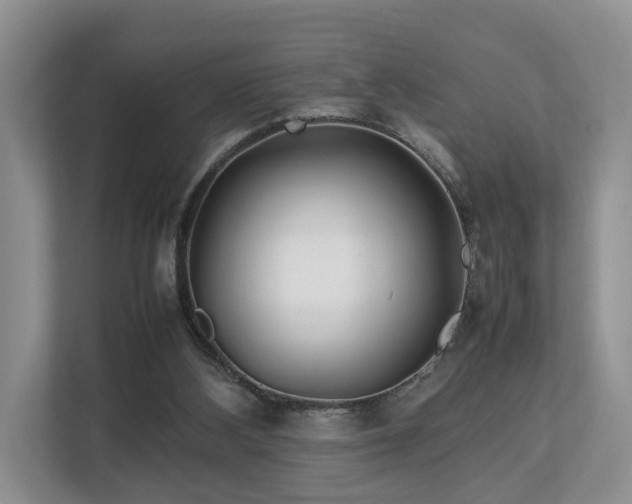 X0000112790108200908211121