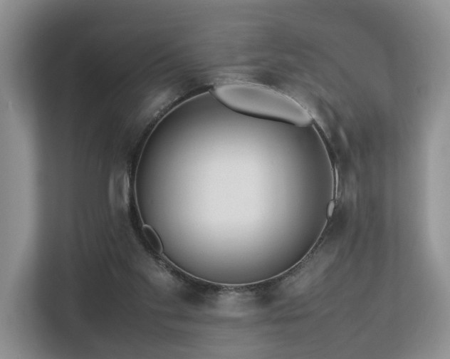 X0000112790109200908211121