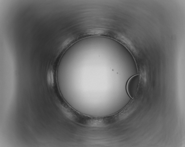 X0000112790110200908211121