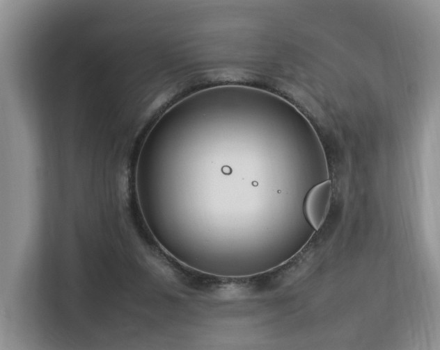 X0000112790111200908211121