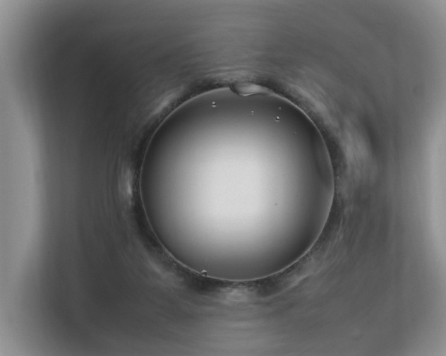 X0000112790115200908211121