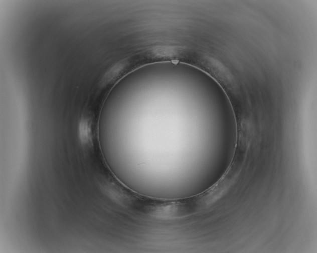 X0000112790116200908211121