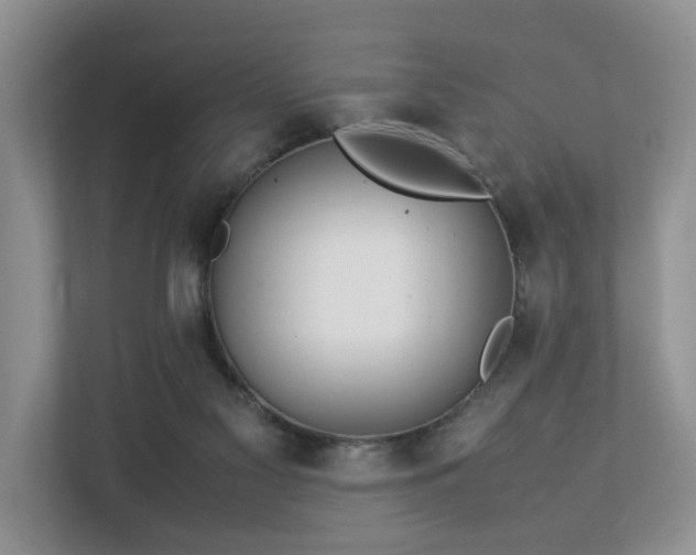 X0000112790117200908211121