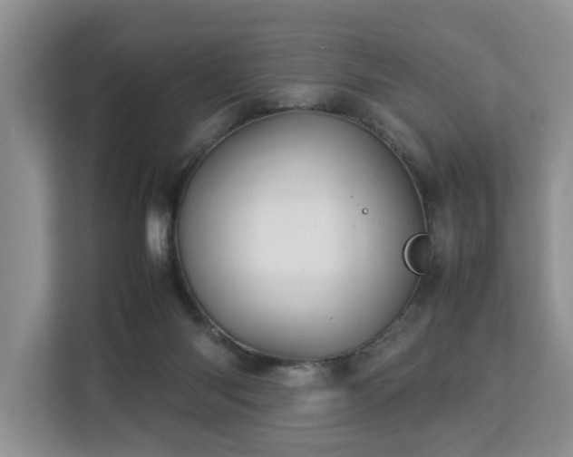 X0000112790118200908211121