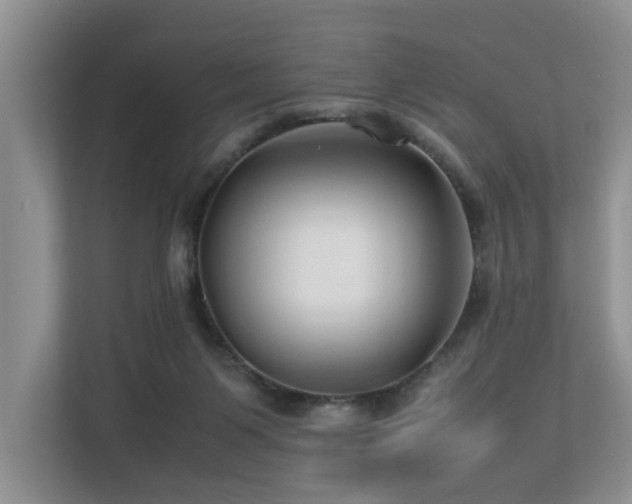 X0000112790119200908211121