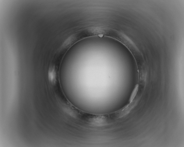 X0000112790124200908211121