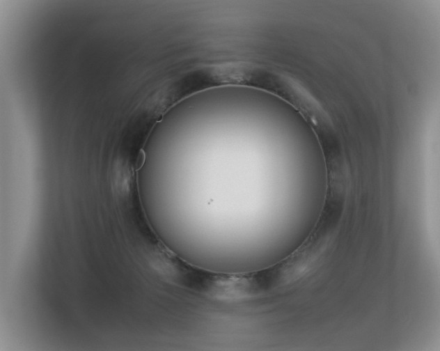 X0000112790125200908211121