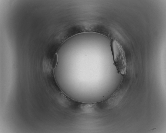 X0000112790129200908211121