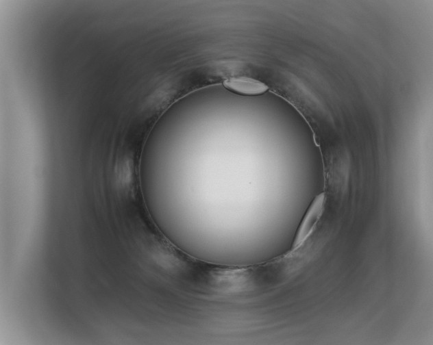 X0000112790132200908211121