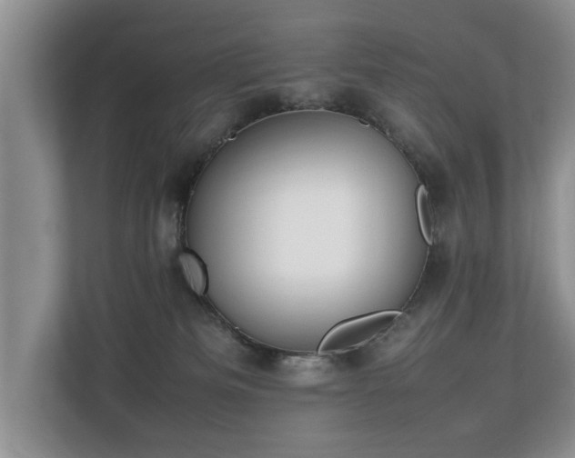 X0000112790133200908211121