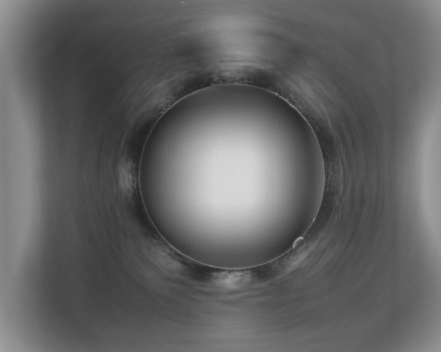 X0000112790135200908211121