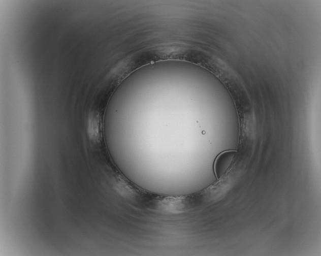 X0000112790138200908211121