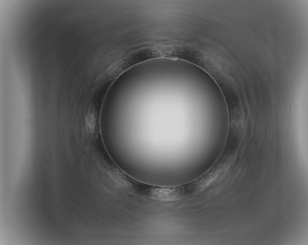 X0000112790139200908211121