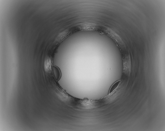 X0000112790142200908211121