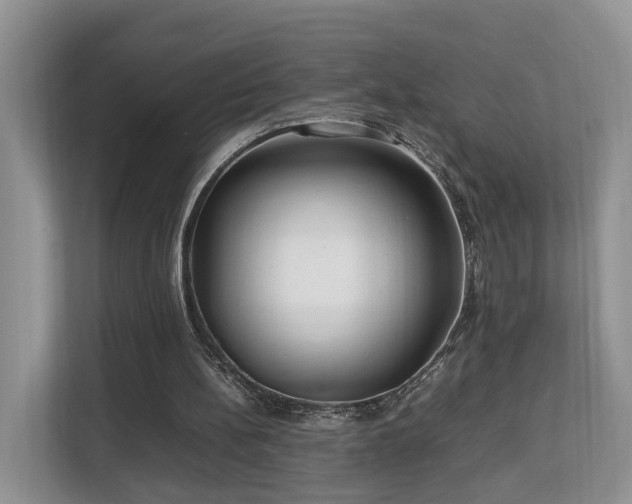 X0000112790148200908211120