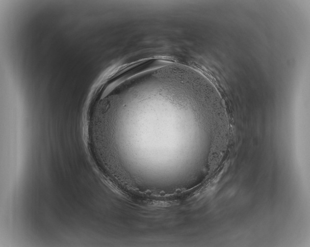 X0000112790149200908211120