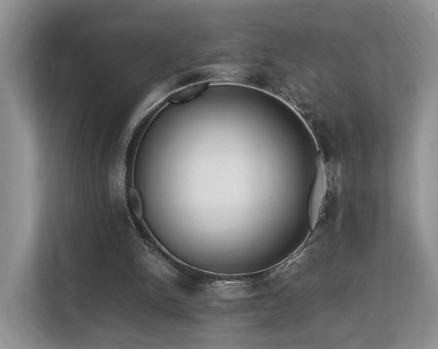 X0000112790150200908211120