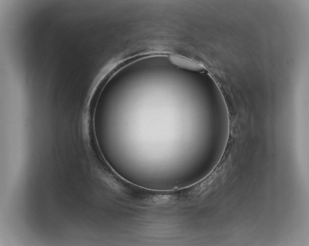 X0000112790152200908211120