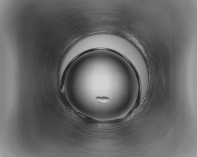 X0000112790154200908211120