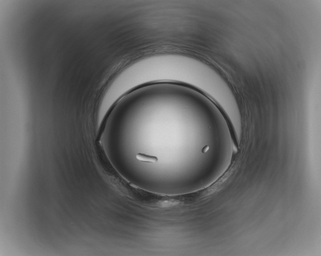 X0000112790158200908211120