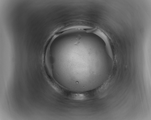 X0000112790159200908211120