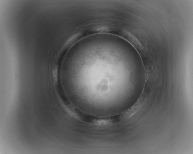 X0000112790163200908211120